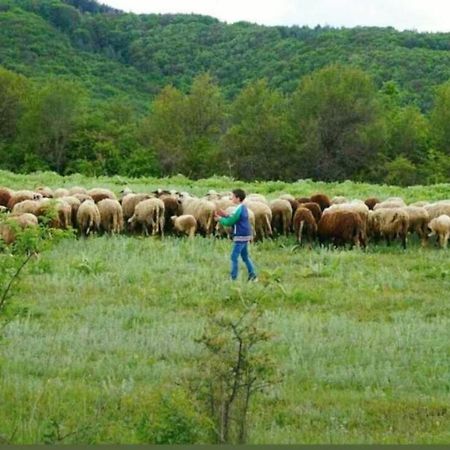 TservenyanoРанчо Бандера别墅 外观 照片